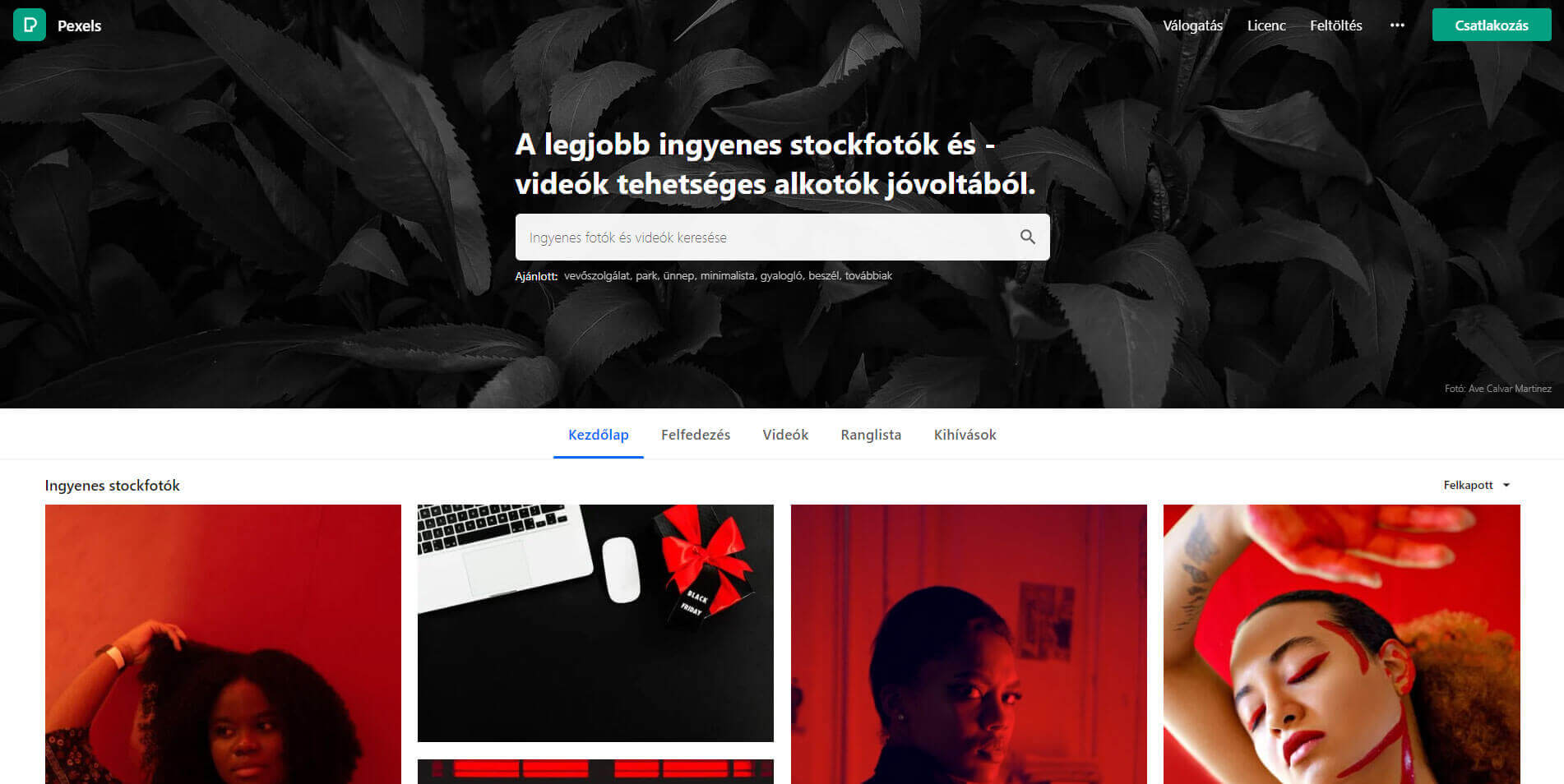 a-legjobb-weboldalak-ingyenes-kepek-es-stock-fotok-letoltesere-pexels a-legjobb-weboldalak-ingyenes-kepek-es-stock-fotok-letoltesere-pexels